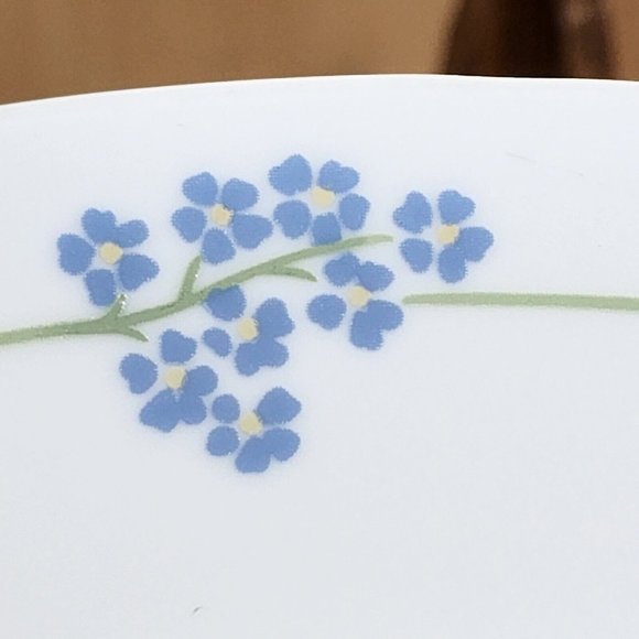 Corelle Secret Garden Dinner Plates 10.25" set of 2 Corning Ware - Picture 8 of 10